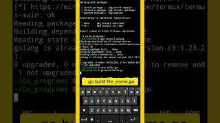 Run GO program in Termux  using golang package in Termux golangdevelopment golang goprogramming [upl. by Ettesel521]