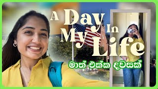 A Day in my life  මාත් එක්ක දවසක්  International Student 🇺🇸 [upl. by Aneras]