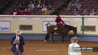 2023 AQHA World Championship Show Open Working Western Rail [upl. by Sutniuq]