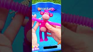 Learn Animal Names for Babies Toddlers Kids Flamingo Chameleon Gecko Giraffe Monkey Alpaca [upl. by Lleuqram]