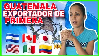 Guatemala🇬🇹 es un EXPORTADOR de EXCELENCIA✨️PRODUCTOS GUATEMALECOS en todo el MUNDO🌎Cubana reacciona [upl. by Akiaki]