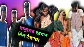 বামুনের ছাগল নিল ঠকায়া😆🤣 Bangla comedy videocomedy cartoonবাংলা comedyfilms funny [upl. by Tommie]