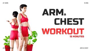 15 Min Arm amp Chest Workout At Home [upl. by Nette]