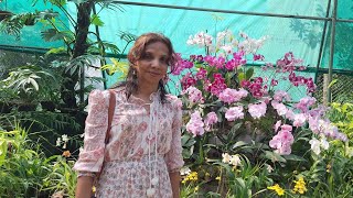 quotKaziranga Uncovered Orchids amp Assams Cultural Charmquot kaziranganationalpark travelvlog nature [upl. by Marola]