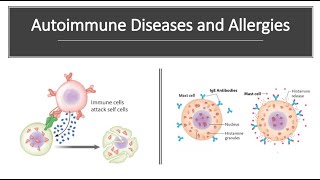 Autoimmune Diseases and Allergies [upl. by Klaus56]