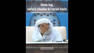 Hum log safaid chadar ki tarah hain mazhabi log dawateislami molvi maulana ameereahlesunnat [upl. by Nyleahcim389]