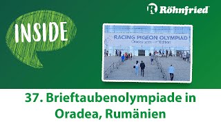 Röhnfried Inside Brieftaubenolympiade 2022 in Oradea Rumänien [upl. by Sedinoel]