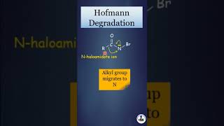 Hofmann Degradation [upl. by Ailhad]