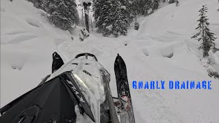 2024 Polaris 9R EPIC first ride in Revelstoke  RAW TREE RIDING  Ep 23 [upl. by Adlesirg]