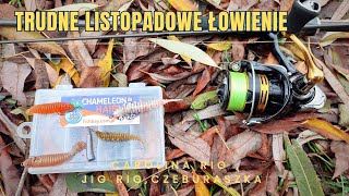 Trudne listopadowe łowienie  w poszukiwaniu okoni spinning okoń hobby [upl. by Inavoj514]