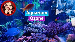 Aquarium Ozone  Smell Remover Crystal Clear water and rid Toxins [upl. by Lladnek]