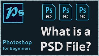 What Is a PSD File  Adobe Photoshop [upl. by Enelaehs72]