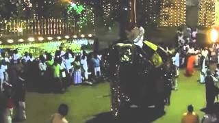 Perahera elephant out of control Kelaniya January 13 2013 [upl. by Ainatnas711]