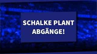 Schalke plant Abgänge Idrizi vor Wechsel  S04 NEWS [upl. by Eleda255]