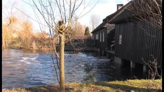 Hoogwater in de Dommel [upl. by Eizdnil]