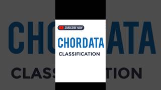 CHORDATA CLASSIFICATION [upl. by Lisha]