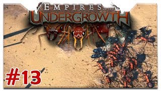 Das ist Krieg  13  Lets Play Empires Of The Undergrowth  Early Access  HD  Deutsch Cigar0 [upl. by Helenka]