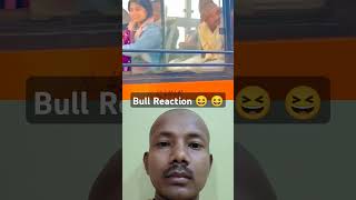 Bull Reaction funny comedy new duet trending shorts viralshorts [upl. by Atile]