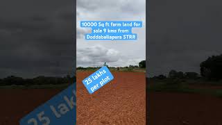 Managed Farm Land  Bangalore  Dabaspet STRR  Agriculture Plots For sale [upl. by Collum511]