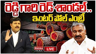 LIVE🔴 రెడ్డి గారి రెడ్ శాండల్ఇంటర్ పోల్ ఎంట్రీ  Peddireddy Ramachandra Reddy  Mahaa News [upl. by Ainotahs173]