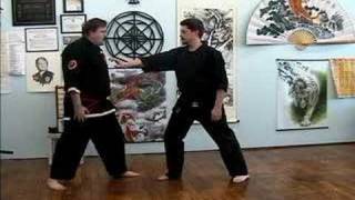 KARAZENPO GOSHINJUTSU COMBINATION 16 [upl. by Lj]