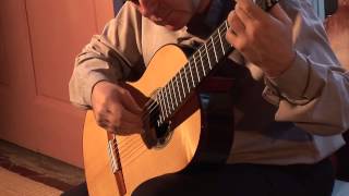 Giuseppe Verdi Va pensiero Guitar Transcription Ganesh Del Vescovo [upl. by Pages]