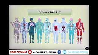 8 06 009 Java e pestë Biologji Qeliza Indi organet sistemi i organeve organizimi [upl. by Anyal734]