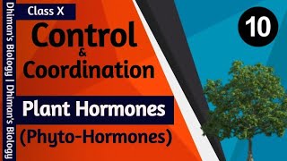 Control amp Coordination  L10  PhytoHormones  Plant Hormones  Plant Growth Regulators PGR [upl. by Calva212]