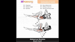 Abdominal Bicicleta  Músculos Trabalhados [upl. by Lucita]