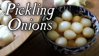 Pickling Onions Made Easy  Historical Food Preservation [upl. by Acirehs971]