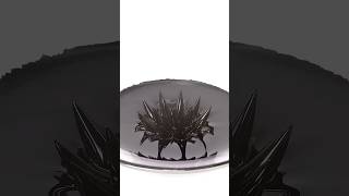 Ferrofluid is crazy [upl. by Adile]