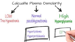 Hyponatremia Electrolytes part 1 [upl. by Salvadore]