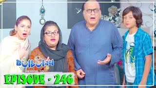 Bulbulay Season 2 Episode 246  Ayesha Omar amp Nabeel [upl. by Aihsenad682]