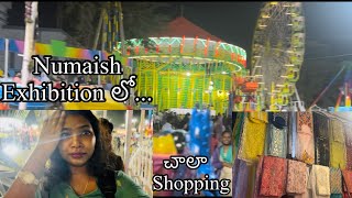 Numaish Exhibition  Nampally  Hyderabad Shopping  Vlog 4 [upl. by Ecinnaj]