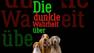 Die dunkle Wahrheit über Hunde [upl. by Strohl660]