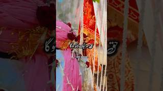 Nikah Ma Haq Mehar 8 Lac Aur 5 tole Sunna  islamic video wedding shorts [upl. by Naujled767]