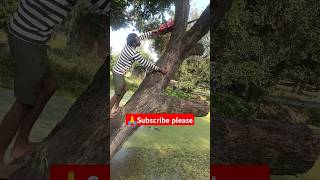 Amazing Fast Ped Kaatne Wali Machine Extreme Efficient Tree Cutting [upl. by Yanel]