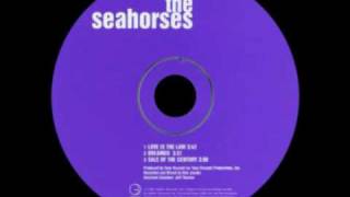 The Seahorses  Dreamer BSide [upl. by Akinaj]