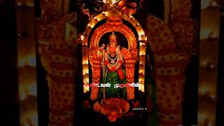 Palani murugan video murugan murugansongs muruganwhatsappstatustamil [upl. by Binetta]