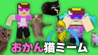 おかんで猫ミーム作ってみた【まいくら  マインクラフト】 [upl. by Aleahs]