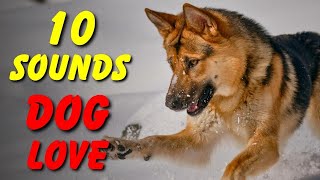 10 SOUNDS Dogs LOVE To Hear The Most [upl. by Siednarb]