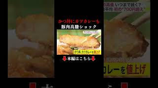 👆本編はこちら👆 買い物客は「食べる日を減らした…」原因は「 猛暑・豚熱・円安」 高値に終わりは見えるのか？止まらない“豚肉の価格高騰” 1キロ当たりの平均価格が”初の700円超え” [upl. by Zetnwahs270]