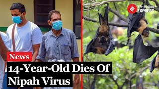 Nipah Virus 14YearOld Boy From Kerala Dies Of Nipah Virus Health Officials On High Alert [upl. by Gelman372]