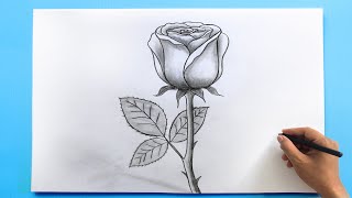 ROSE Drawing Easy 🌹 How to Draw a Rose step by step [upl. by Ierbua240]