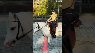 WESTERN rijden met Smartie paardenvlog equestrian paardrijden [upl. by Nosloc]