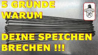 5 Gründe warum deine Speichen brechen Speichenbruch vom Profi erklärt [upl. by Manno]