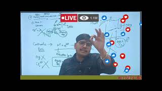 Enode Cells electrochemical cell and electrolytic cell chemistry important topic for neet and jee [upl. by Rimidalv]