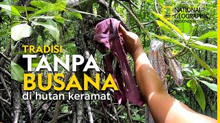 Hutan Perempuan Nasibmu Kini [upl. by Agiaf]