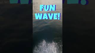 Fun Wave🏄‍♂️🏄‍♂️🌊🌊whiffinspit canada canadasurfing surfcanada nautica [upl. by Gaulin]