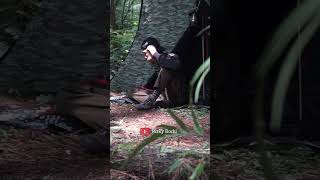 Solo camping bersantai di hutan solocamping bushcraft survival latihanperang [upl. by Shirlee498]